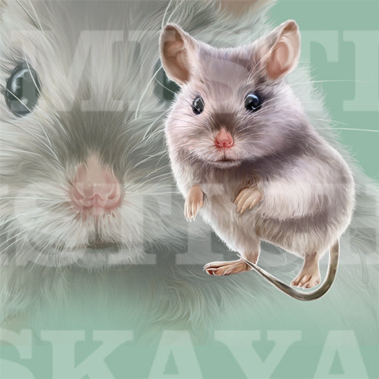 Mouse