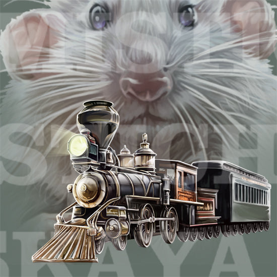 Mouse train