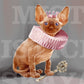 royal cat