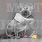 royal cat